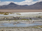 Chile, Argentina, Bolivie, ascents of Aconcagua, Marmolejo and San Jose