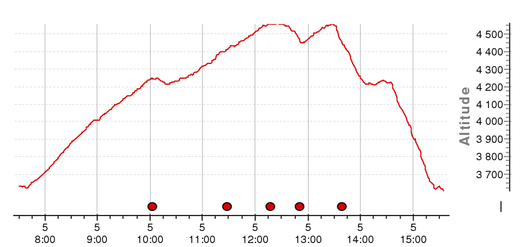altitude profile: Zumsteinspitze (4563), Signalkuppe (4554)