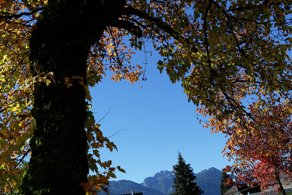 Autumn in the Alps.