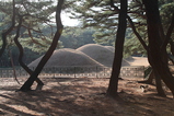 Hiking in Korea - NP Jirisan, NP Gyeongju (Namsan)