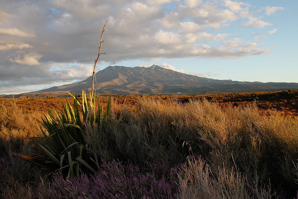 Mount Ruapehu (2,797m)