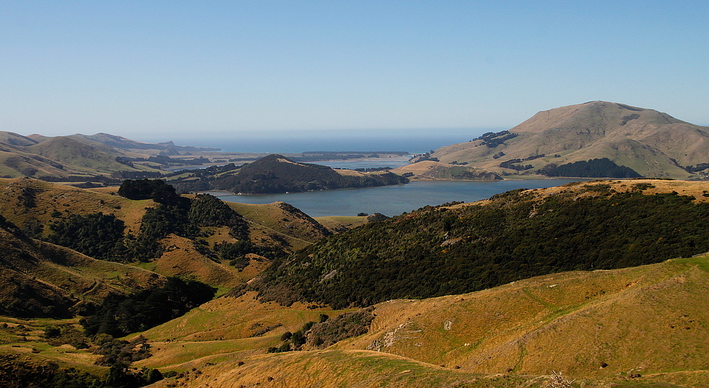 Otago peninsula