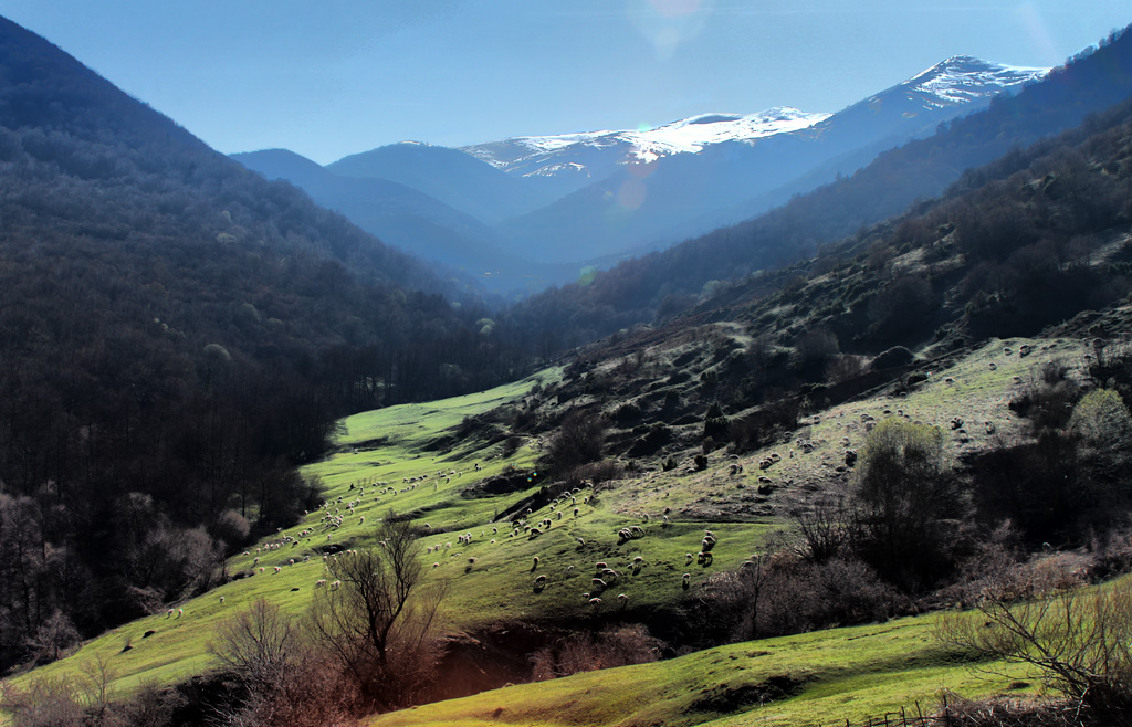 Zlokukjani, Baba Mountains, Macedonia