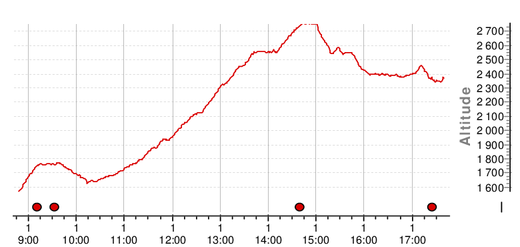 altitude profile: Molika - Kopanki - Palisnopje - Pelister (2 601m) - Široko Stapalo (2 416m) - Golemo jez.