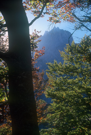 Podzimní Spitzmauer, Totes Gebirge