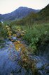 Trekking in Japanese Mountains - Mount Fuji, Minami Alps, Kita Alps