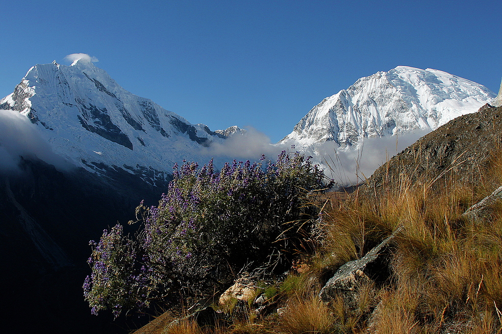 Nevado Chopicalqui (6,354m) and Nevado Huascarán Sur (6,768m).
